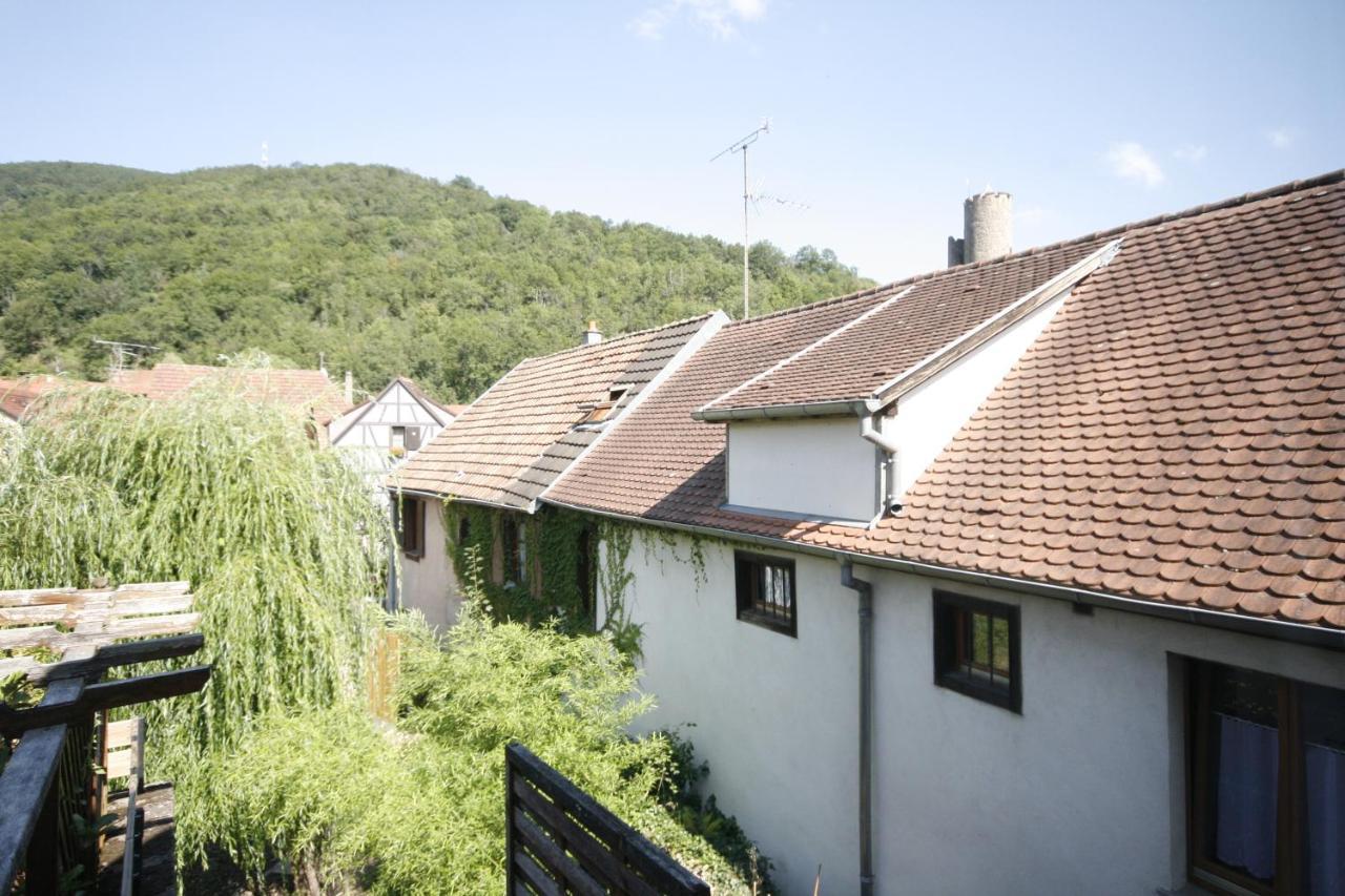 Appartement Le Keiler Kaysersberg-Vignoble Exterior photo
